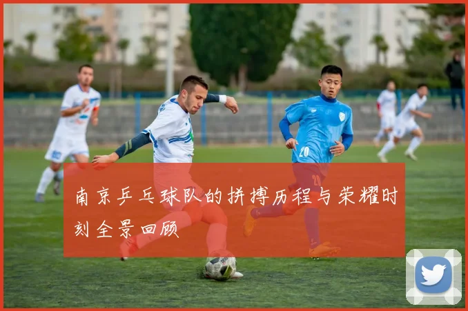 南京乒乓球队的拼搏历程与荣耀时刻全景回顾