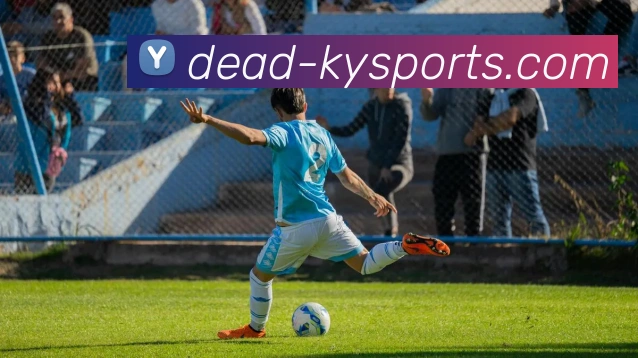 开云平台生态图